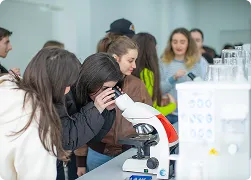 marquee-top-image-16