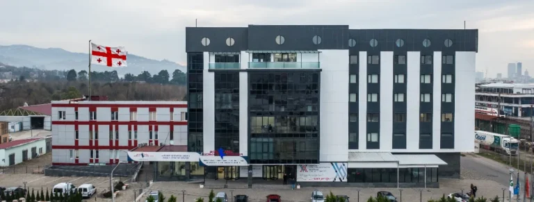 Medical Education Framework Followed by Georgian Universities