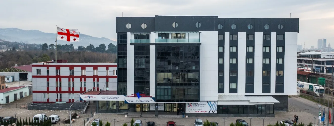 Medical Education Framework Followed by Georgian Universities