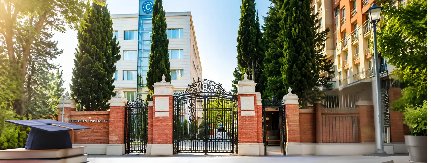 European University Admission Process Explained
